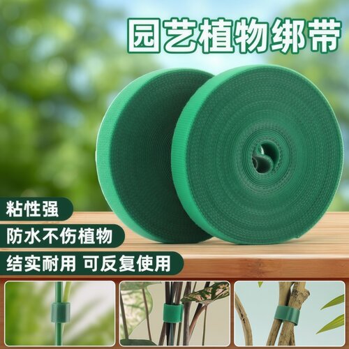 绿色不伤植物热植绑带扎带魔术贴绿植扎带捆绑绿色粘扣带植物捆绑