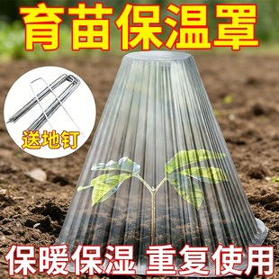 育苗保温罩重复使用方形植物钟罩大棚免受鸟类霜冻伤害保护防虫袋