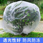 绿植保温袋绿植物防冻塑料膜花卉盆栽过冬保护罩树木透明平口袋