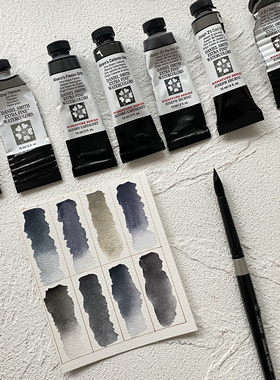 DS高级灰8色水彩颜料莫兰迪灰色美甲水彩大师级水彩五彩斑斓的黑