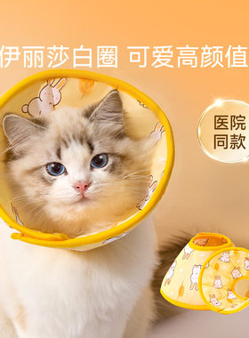 卡通伊丽莎白圈 猫咪项圈宠物小狗狗脖圈绝育耻辱圈防舔防抓头套