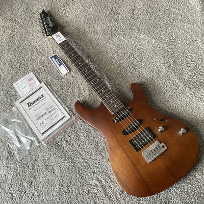 小双摇电吉他Ibanez奥古曼