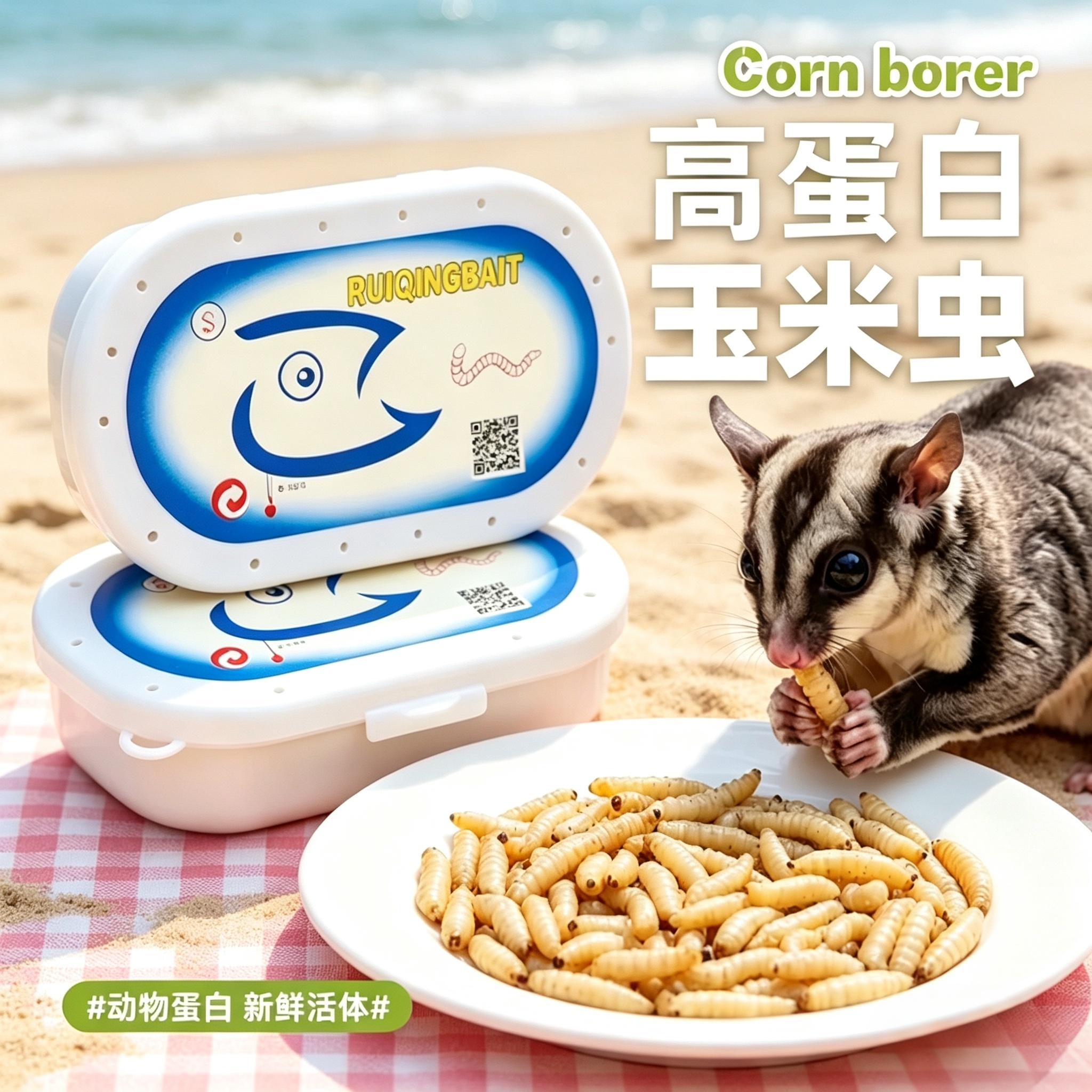 蜜袋鼯活虫玉米虫零食虫子葡萄蜜仓鼠花枝鼠鹦鹉粮食吃的虫子