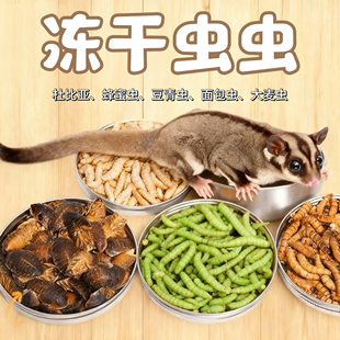 蜜袋鼯零食虫子专用粮食面包虫杜比亚大麦虫玉米虫仓鼠花枝鼠零食