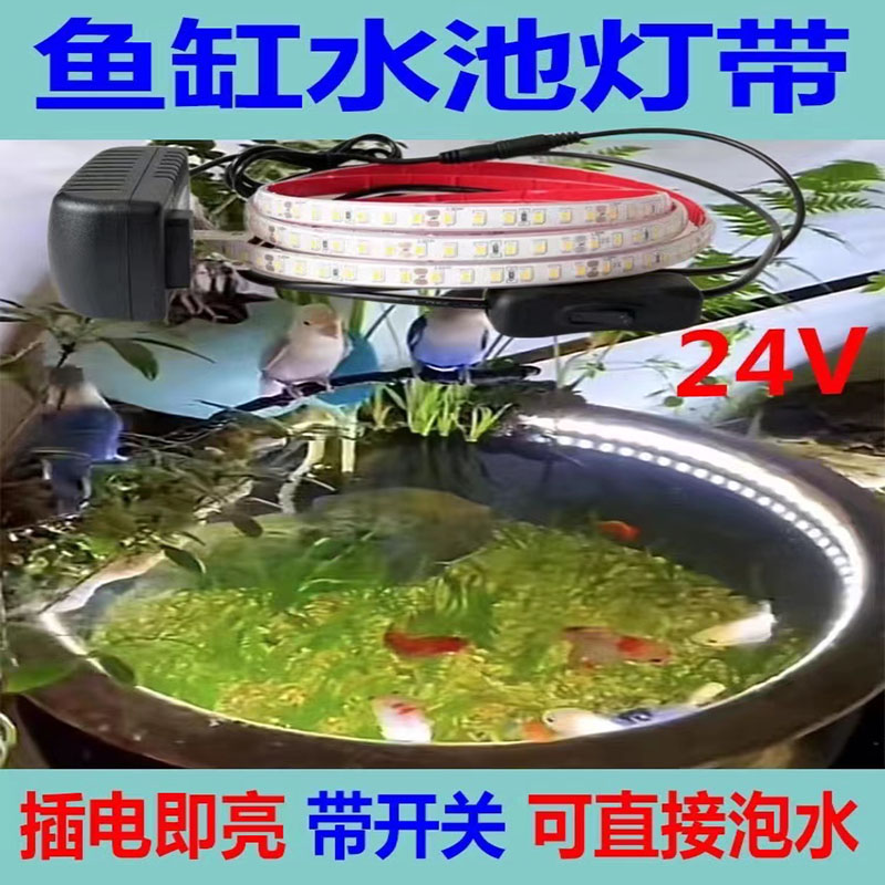 鱼缸水池专用24V泡水防水LED灯带实心灌胶水下照明低压灯带条自粘