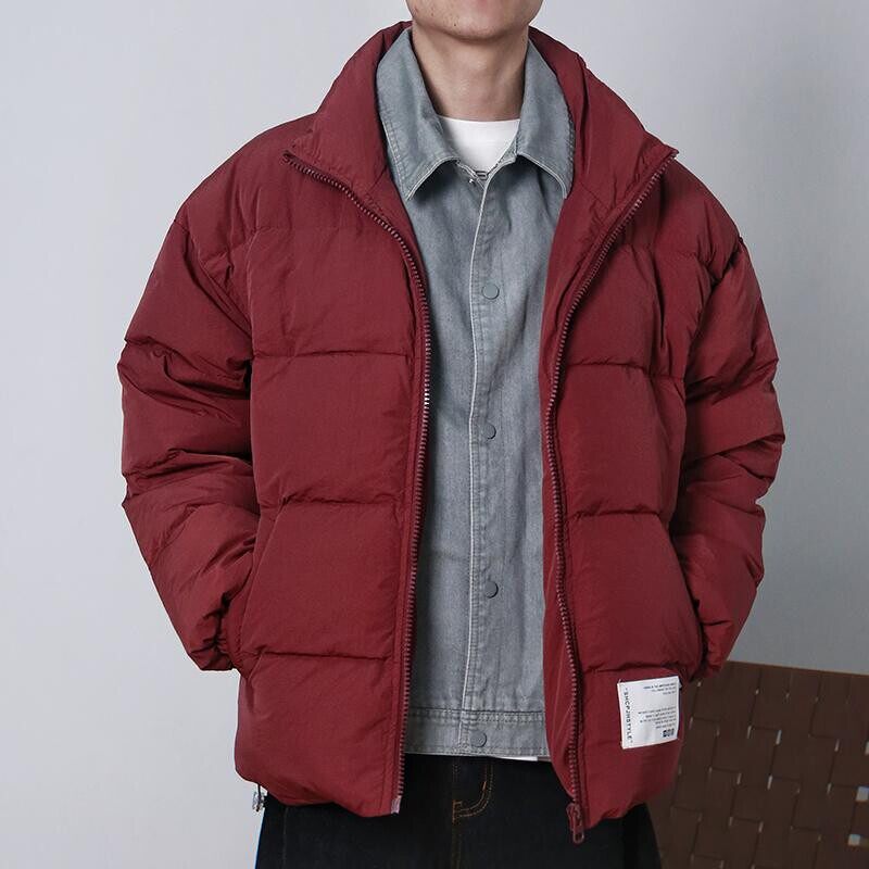 YR0027-P178-新款羽绒服外套牛仔领假两件宽松白鸭绒羽绒服外套男,男装羽绒服,电商C309A
