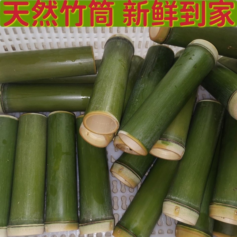 包粽子神器竹筒粽子新鲜