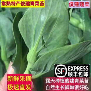 顺丰邮 常熟青菜苔新鲜蔬菜霜冻青菜苔油菜薹现摘农家菜尖火锅菜