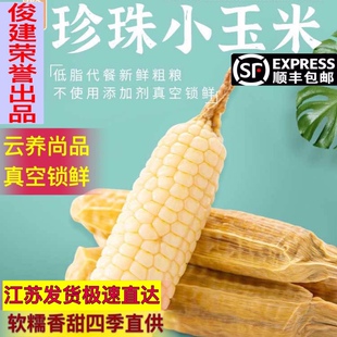 江苏发货 绿野珍珠小玉米软糯香甜真空锁鲜老人小孩都爱吃1斤起