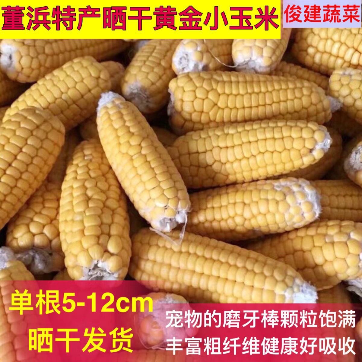 京东迷你玉米磨牙棒仓鼠最爱迷你晒干玉米棒农家自种小玉米零食