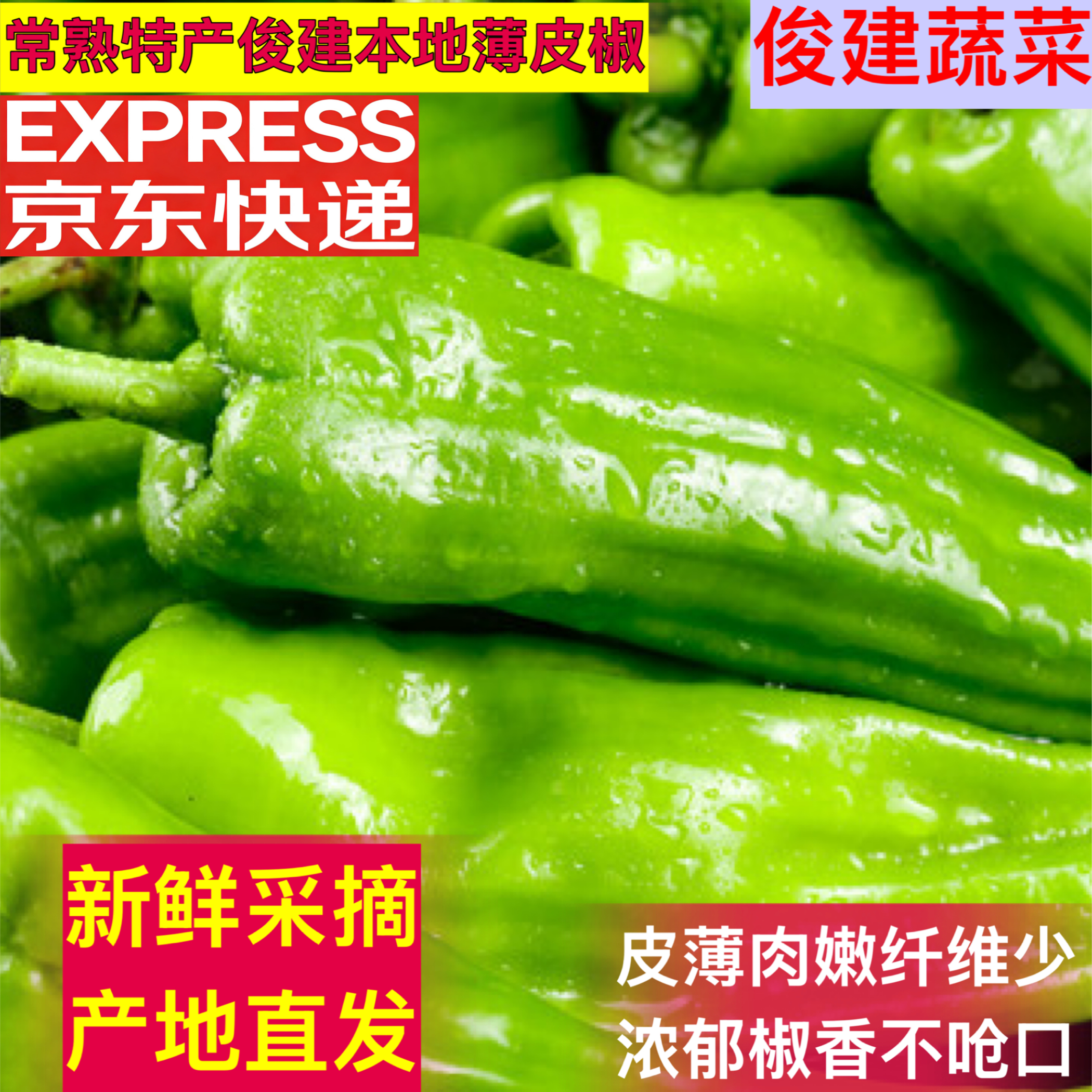 京东快递新鲜俊建薄皮椒农家自种虎皮青辣椒皮薄肉嫩时令蔬菜微辣