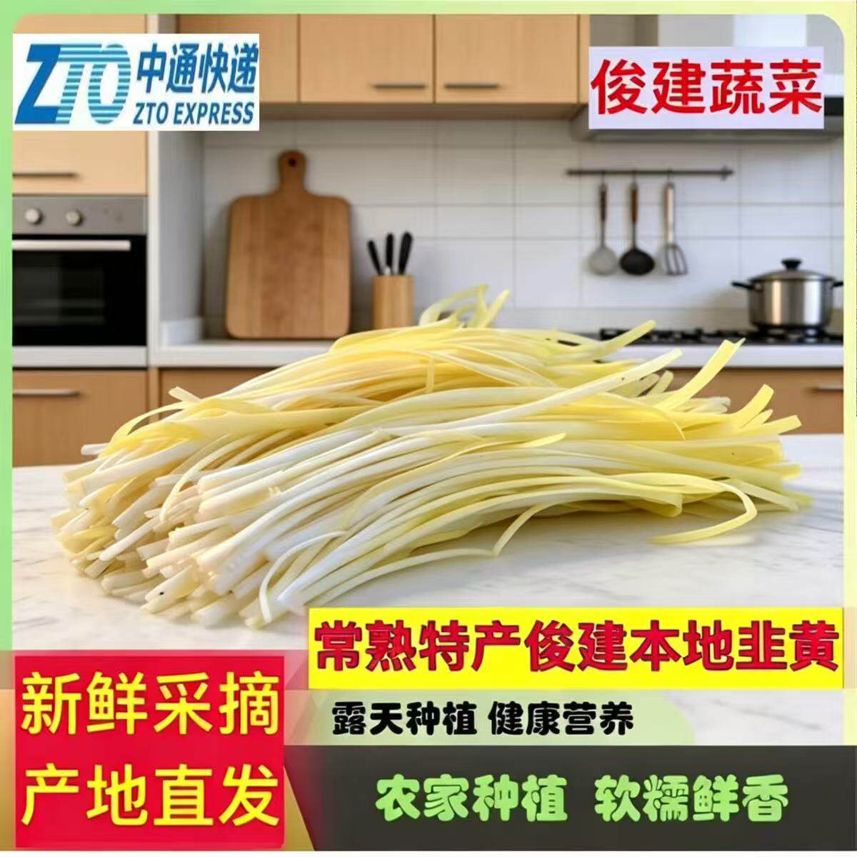 中通邮 俊建常熟特产短韭黄 色泽金黄韭香醇厚农家自种炒菜包饺子
