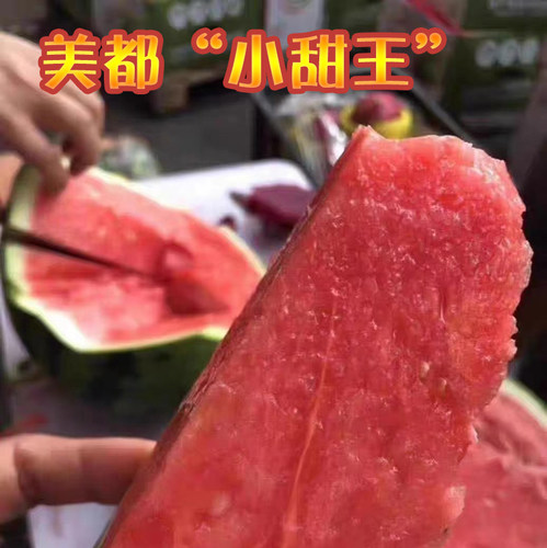 美都西瓜东台红心大瓜小甜王新鲜采摘脆甜爽口顺丰2~3个共16~17斤