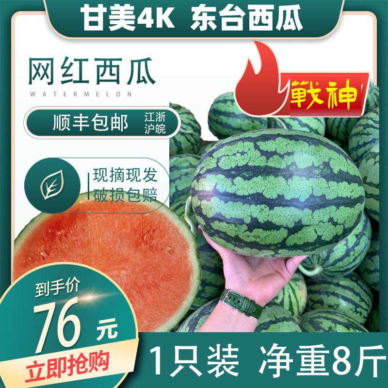 甘美4K西瓜红心K东台红瓤全美脆甜薄皮无籽1-2个共8斤顺丰