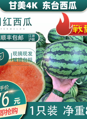 甘美4K西瓜红心K东台红瓤全美脆甜薄皮无籽1-2个共8斤顺丰