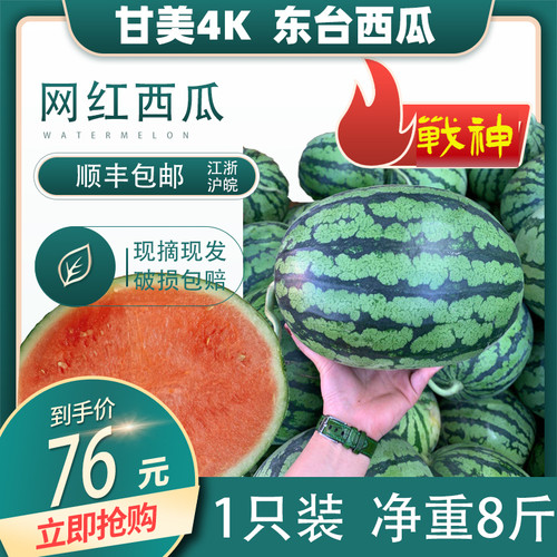 甘美4K西瓜红心K东台红瓤全美脆甜薄皮无籽1-2个共8斤顺丰