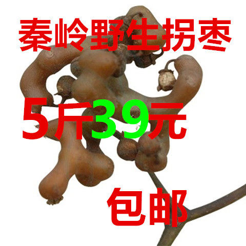 现货秦岭野生拐枣 新鲜拐枣万寿枣