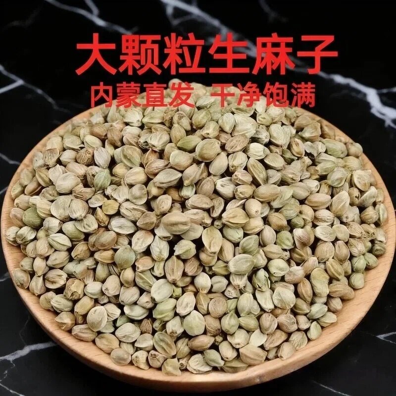 大粒内蒙特产特大生麻子火麻籽大颗粒当季新货内蒙直发新日期