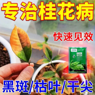 桂花树黄叶专用肥黄叶干尖桂花营养液家用盆栽养花种花通用有机肥