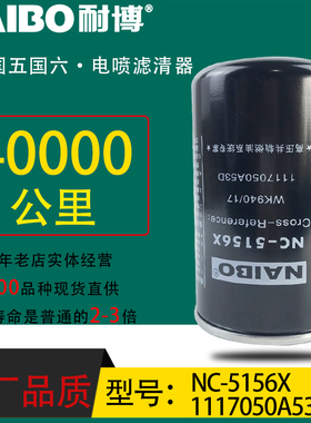 1117050A53D小油专用电喷长效柴油滤芯WK940/17解放J6船机NC-5156