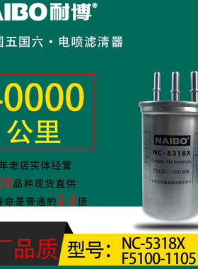 F5100-1105100A小油电喷长效柴油滤芯NC-5318X  UF0062-Z1配玉柴