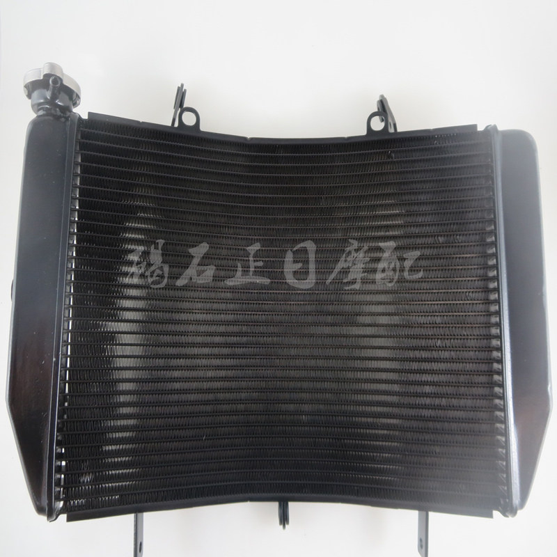 适用于雅马哈R606-16年水箱总成