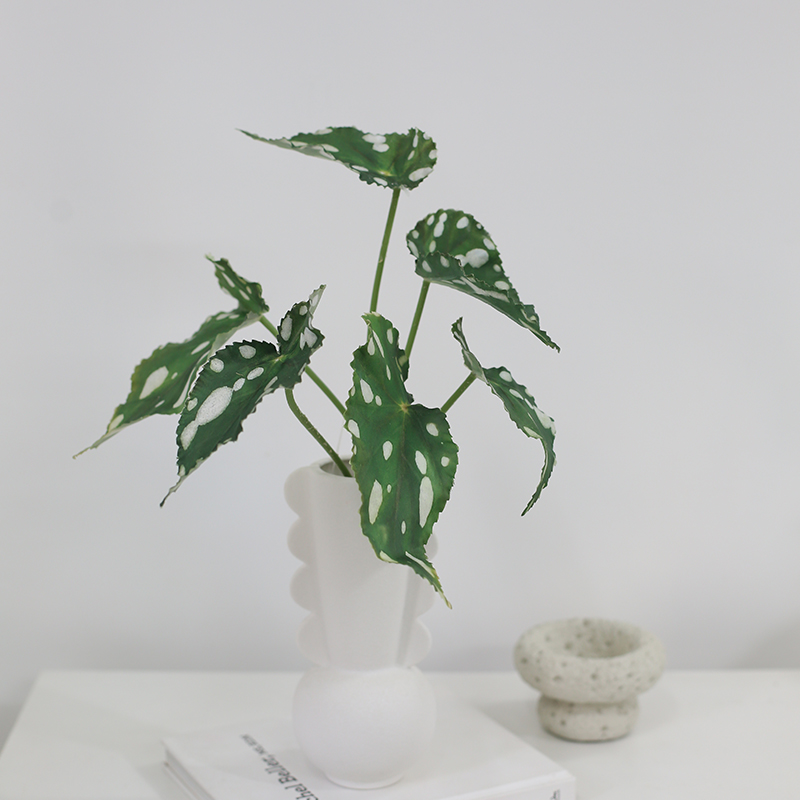手感仿真植物秋海棠 插花叶才 花艺造景摄影道具家居客厅绿植盆栽