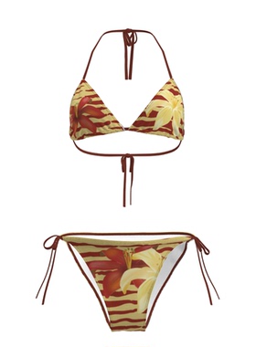 夏季2025新款性感比基尼泳衣小胸聚拢显大分体泳装泳装内衣套装女