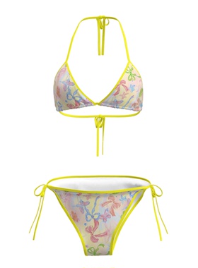 女性性感比基尼内衣泳衣女2025新款分体泳装温泉沙滩度假泳装风纯