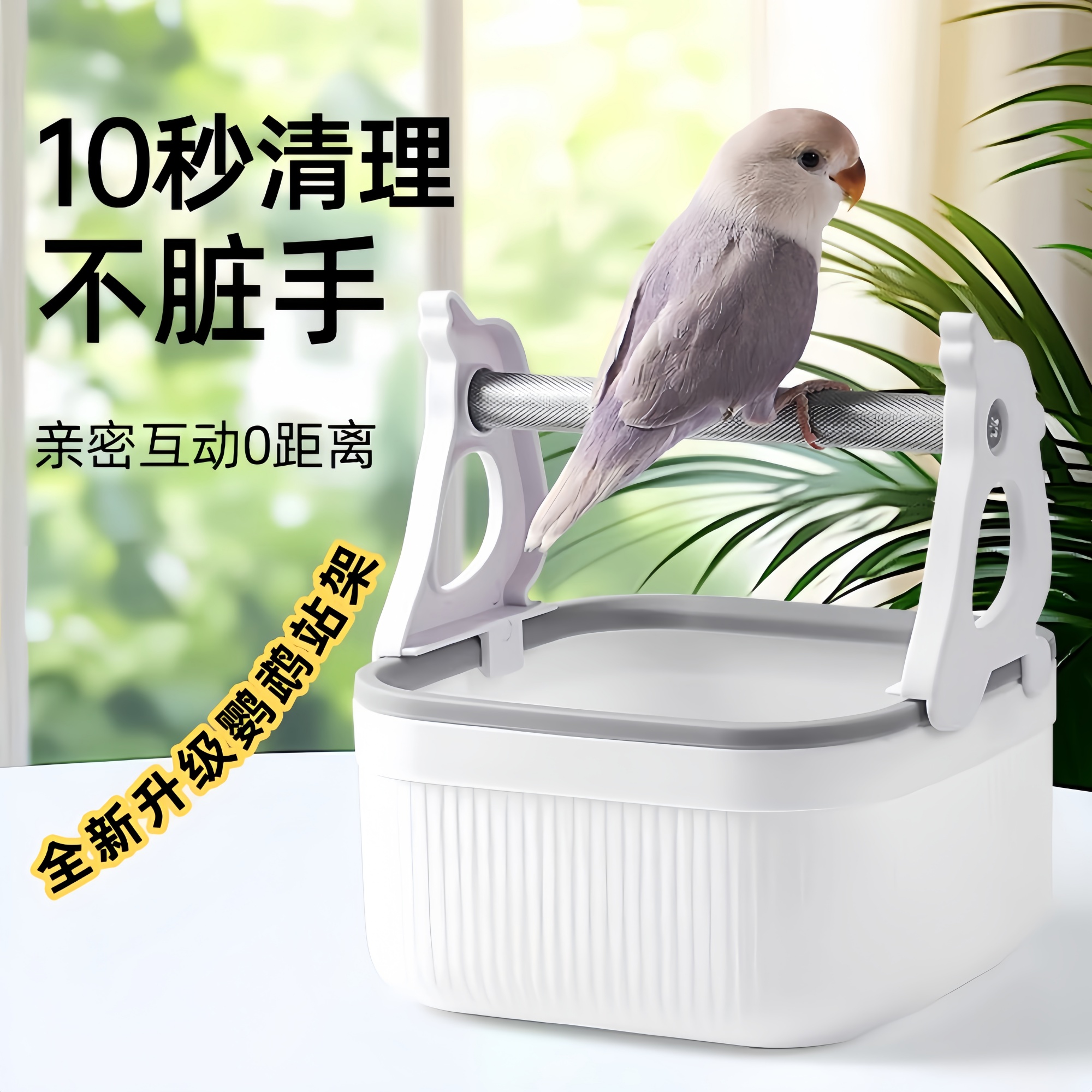 鹦鹉定点站架排便训练站架