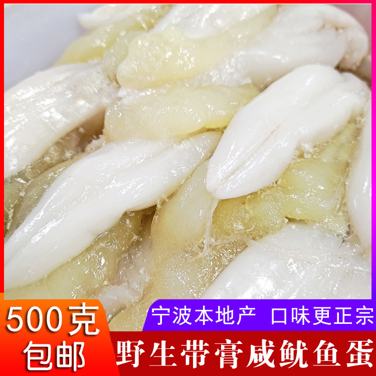 宁波产东海野生鱿鱼蛋鱿鱼带膏新鲜美味咸海鲜500g包邮下饭菜喷香