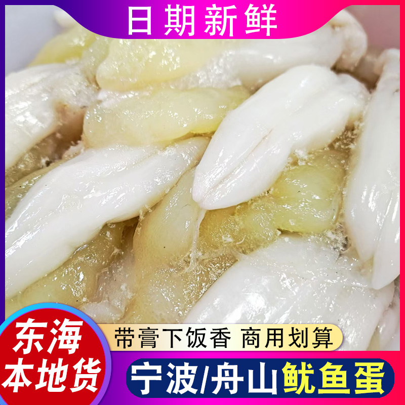 宁波产鱿鱼带膏美味海鲜500g