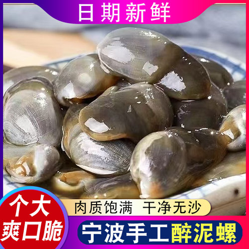 宁波舟山8A泥螺个大新鲜醉泥螺
