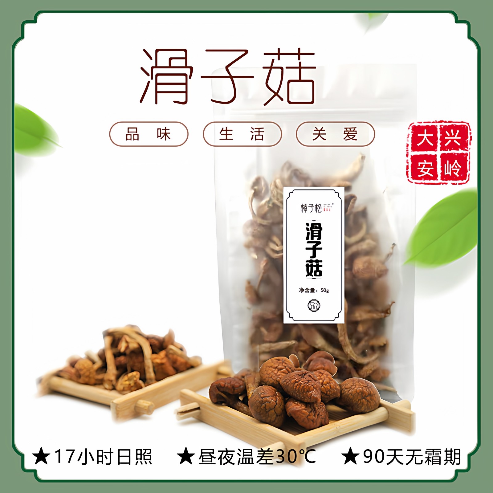 滑子菇樟子松菌蘑类东北黄干货一非野生山珍土特产级大兴安岭50g