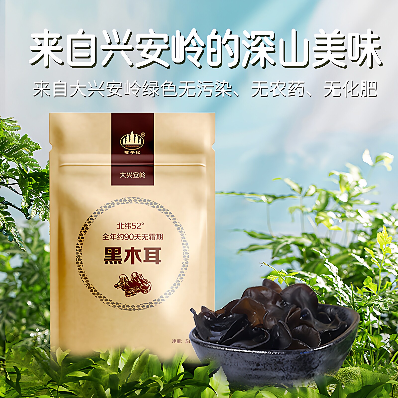 东北特产有机黑木耳干货非野生秋级小纯一碗袋肉厚无根官方旗舰店