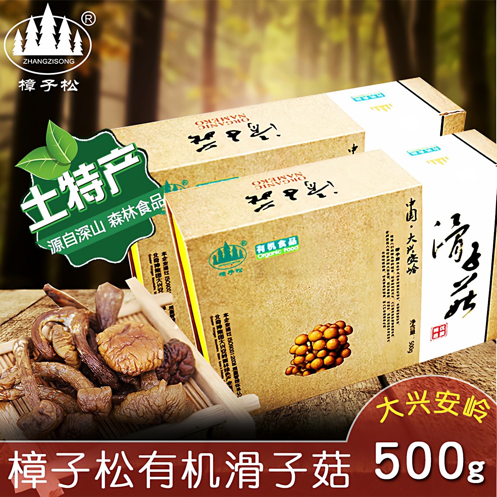 东北黑龙江特产干年货滑子菇大兴安岭类礼盒野奇珍黄菌蘑煲汤木盒