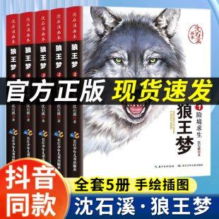 小学生三四五六年级课外书8 包邮 5册 漫画版 沈石溪动物小说大王狼王梦画本珍藏版 完整版 12岁班主任推荐 狼王梦正版 经典 儿童文学书