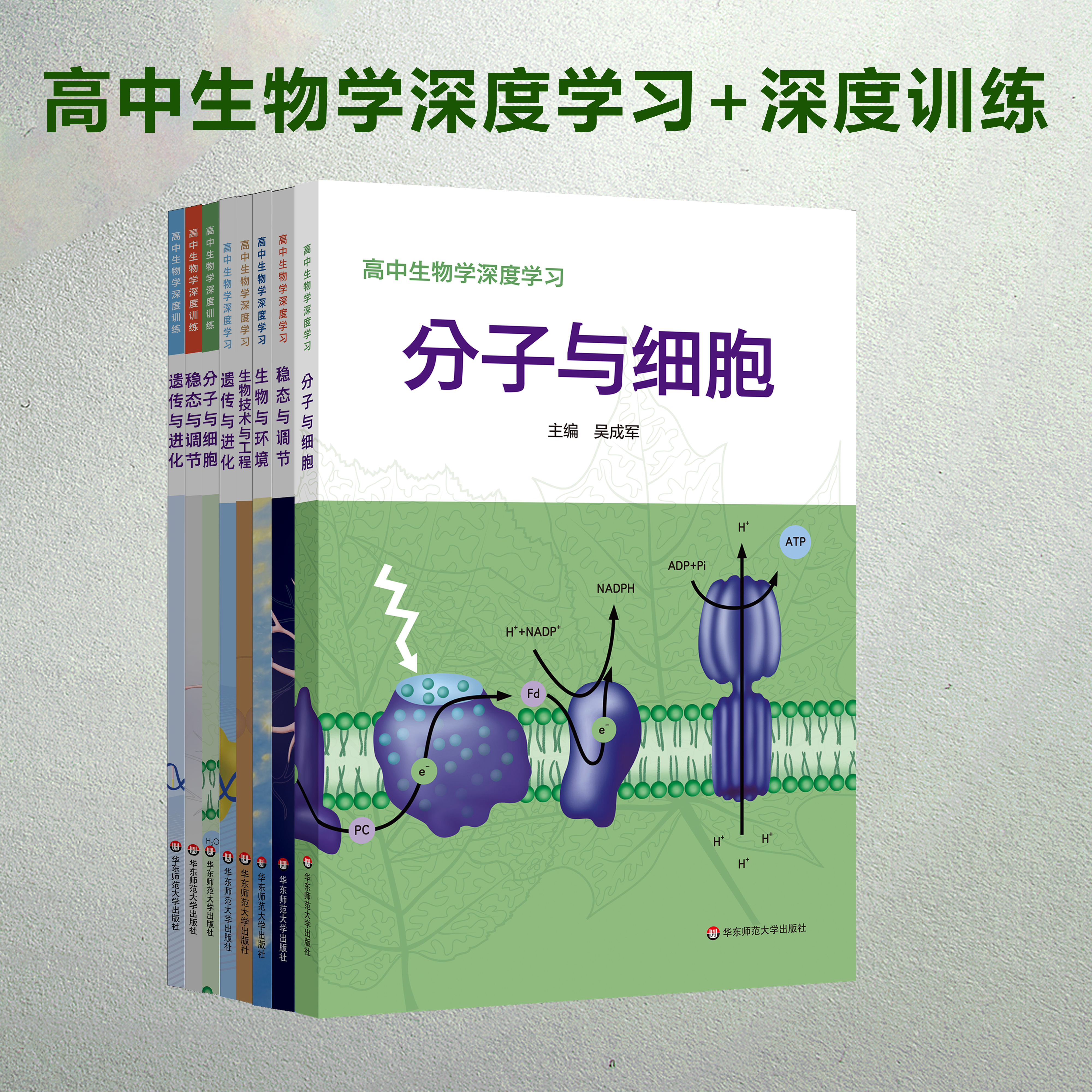 华师大生物深度学习新高考