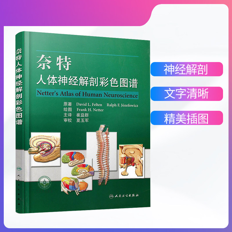 正版现货 奈特人体神经解剖图谱 翻译版 人体色彩解剖图 崔益群  主译