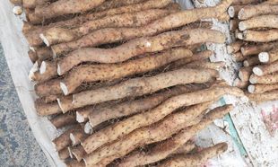 湖北恩施新鲜山药利川团堡高山现挖带泥红皮山药5斤农家恩施土特