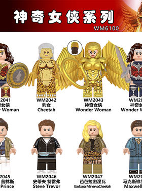 兼容国产DC超级英雄神奇女侠豹女WM6100拼装益智积木人仔儿童玩具