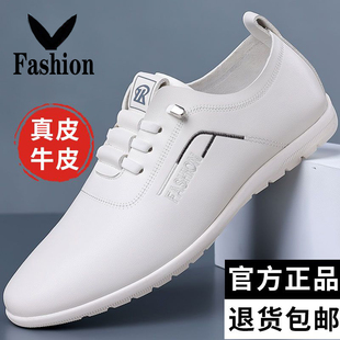 皮鞋 男士 2024新款 男透气商务休闲软底套脚耐磨豆豆鞋 真皮牛皮
