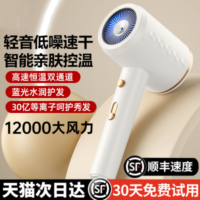 【官方正品】德国工艺速干吹风机