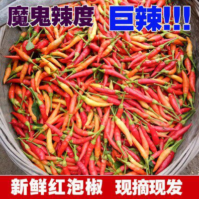 新鲜超辣小米辣野山椒魔鬼辣红黄泡椒剁椒朝天椒特辣指天椒3/5/斤