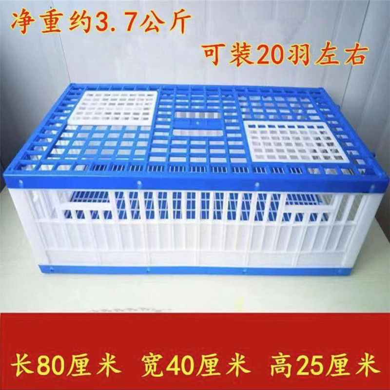 塑料训放笼鸽子放飞笼图片