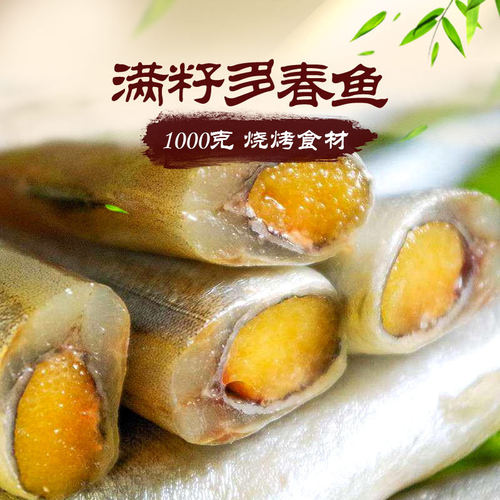 多春鱼多籽烧烤食材海鲜