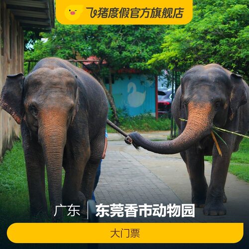 [东莞香市动物园-大门票]东莞香市动物园