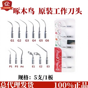 超声波洁牙机尖牙科材料