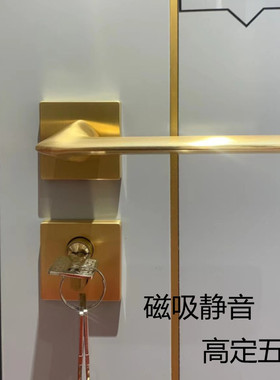 tata尼克磁吸静音室内金色黑灰色轻奢现代简约风门锁三件套门把手