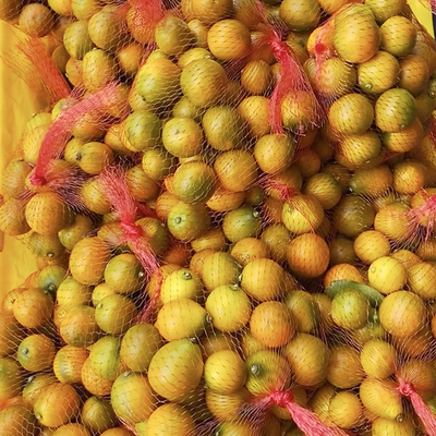 广西脆皮金桔现摘小金桔5斤新鲜水果当季橘子砂糖柑桔纯甜整箱10